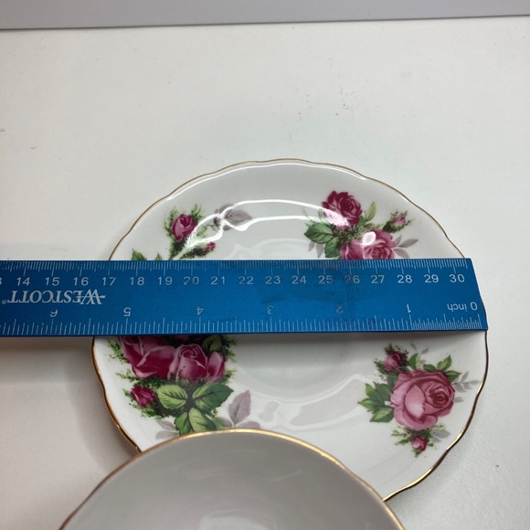 Tuscan/Royal Tuscan MOSS ROSE Cup & Saucer Set C9612 Bone China GREAT CONDITION - Picture 12 of 12